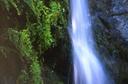 Waterfall somewhere along Big Surs coast.